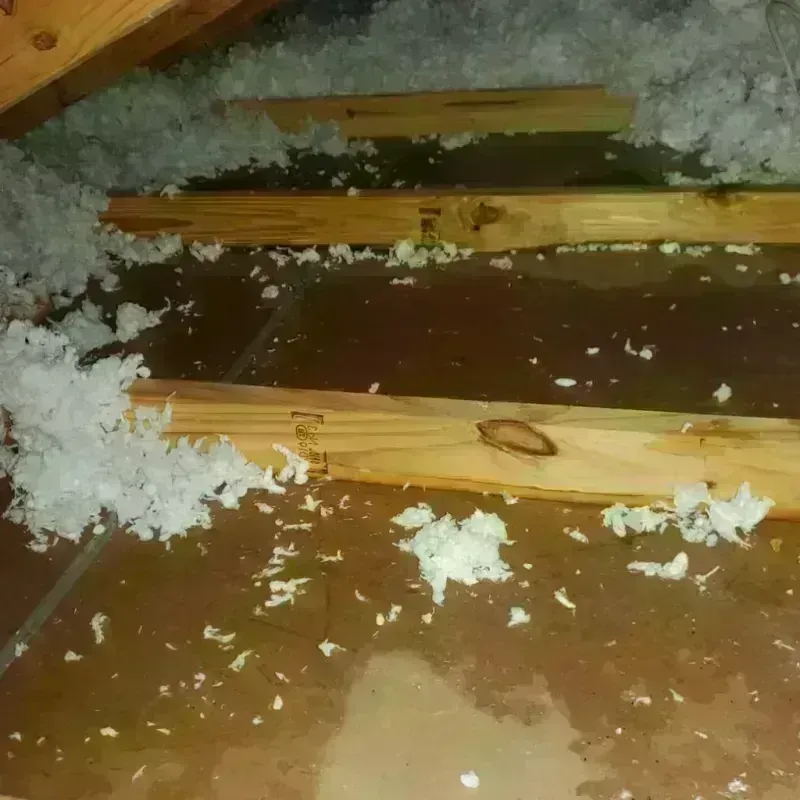 Attic Water Damage in Parsippany, NJ