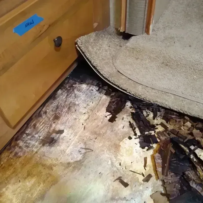 Wood Floor Water Damage in Parsippany, NJ